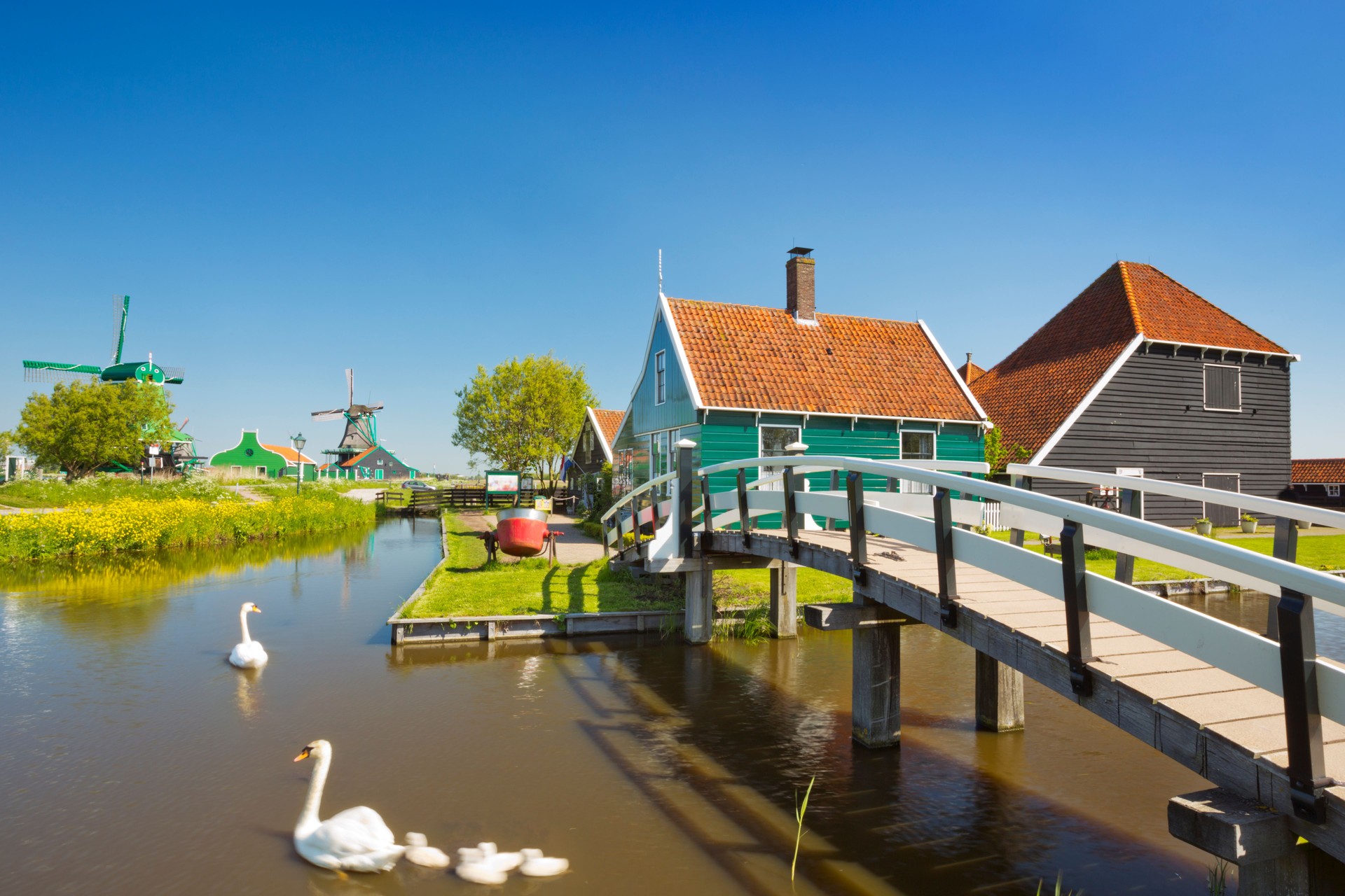 Traditional Dutch houses in Zaanse Schans, The Netherlands